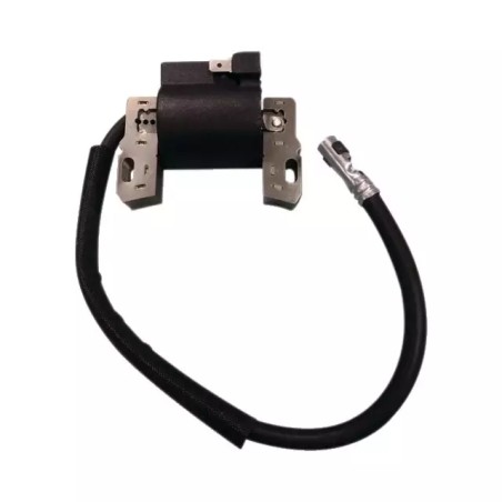 BOBINE ALLUMAGE POUR BRIGGS & STRATTON 5CV ( - ref. 20542024 | TP Agri