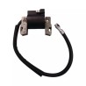 BOBINE ALLUMAGE POUR BRIGGS & STRATTON 5CV ( - ref. 20542024 | TP Agri