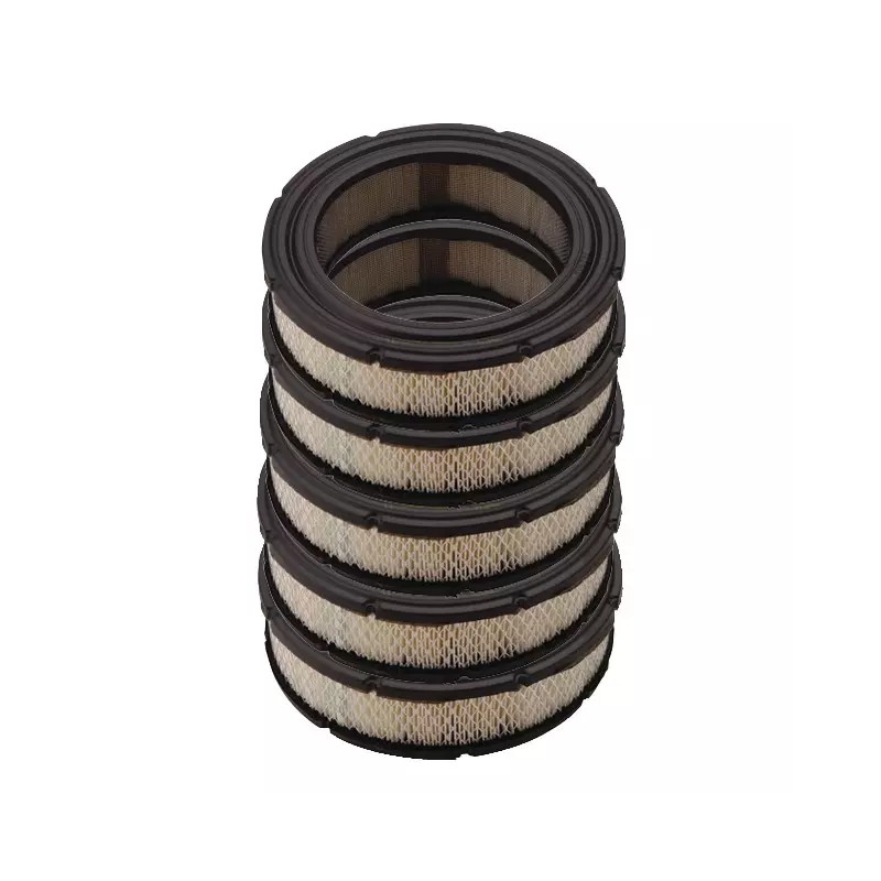 PACK ATELIER 5 X FILTRE AIR 692519 ORIGINE B&S - ref. BS4232 | TP Agri