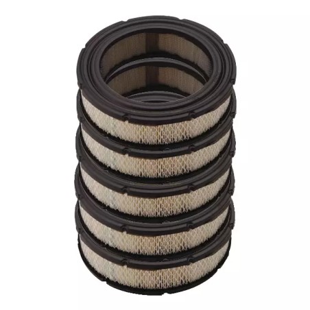 PACK ATELIER 5 X FILTRE AIR 692519 ORIGINE B&S - ref. BS4232 | TP Agri