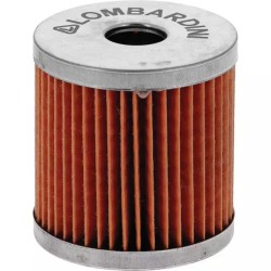 FILTRE A GASOIL MOTEUR LDA904 LDA940 LOMBAR - ref. LB2175009 | TP Agri
