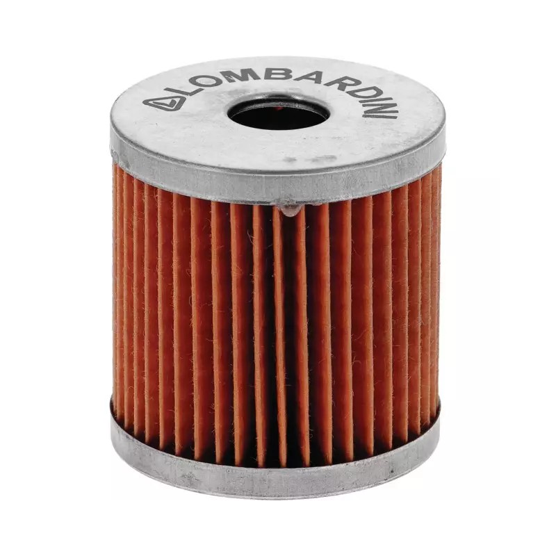 FILTRE A GASOIL MOTEUR LDA904 LDA940 LOMBAR - ref. LB2175009 | TP Agri