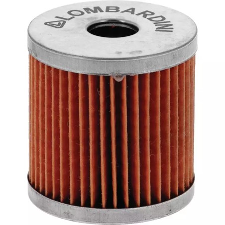 FILTRE A GASOIL MOTEUR LDA904 LDA940 LOMBAR - ref. LB2175009 | TP Agri
