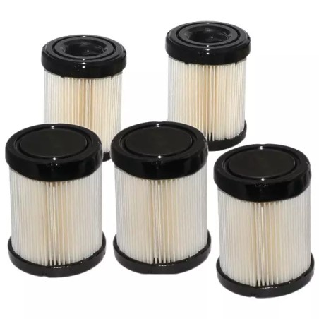 PACK ATELIER 5 FILTRES AIR 591583 B&STRATTON - ref. BS4269 | TP Agri