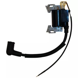 BOBINE D'ALLUMAGE SV150 ORIGINE GGP - ref. CG118550126/0 | TP Agri
