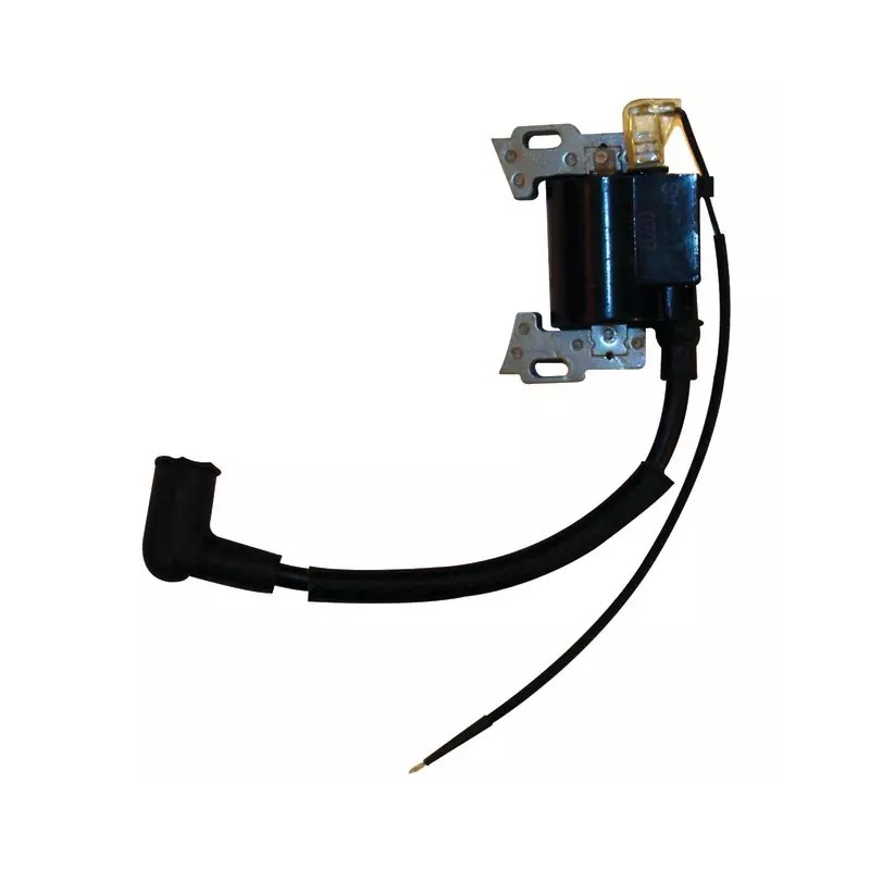 BOBINE D'ALLUMAGE SV150 ORIGINE GGP - ref. CG118550126/0 | TP Agri