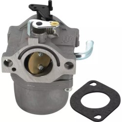 CARBURATEUR BRIGGS AND STRATTON STARTER MANU - ref. BS590399 | TP Agri