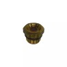 BUSE LANCE MITRAILLE Ø 1 MM - ref. 230076 | TP Agri