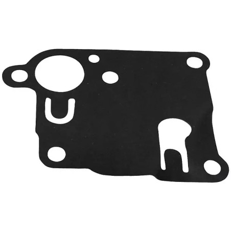 MEMBRANE POUR CARBURATEUR BRIGGS & STRATTON - ref. 20615010 | TP Agri
