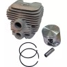 CYLINDREE POUR STIHL TS410, TS420 (423802012 - ref. 21406570 | TP Agri