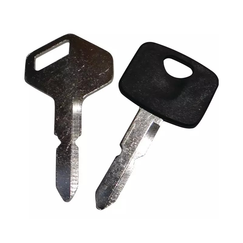 CLES DE CONTACT MODELES SD ORIGINE GGP - ref. CG118210023/0 | TP Agri