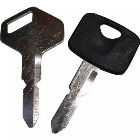 CLES DE CONTACT MODELES SD ORIGINE GGP - ref. CG118210023/0 | TP Agri