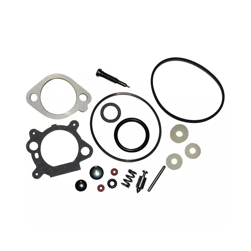 KIT CARBURATEUR ORIGINE BRIGGS & STRATTON - ref. BS498260 | TP Agri