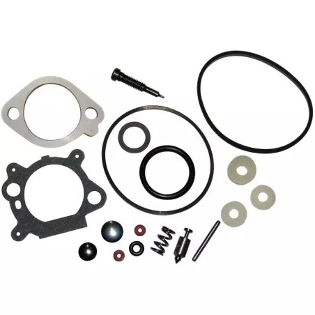 KIT CARBURATEUR ORIGINE BRIGGS & STRATTON - ref. BS498260 | TP Agri