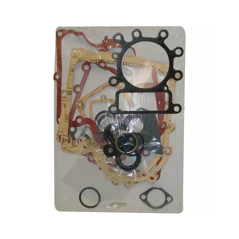 POCHETTE JOINTS POUR BRIGGS & STRATTON 13-15 - ref. 20784192 | TP Agri