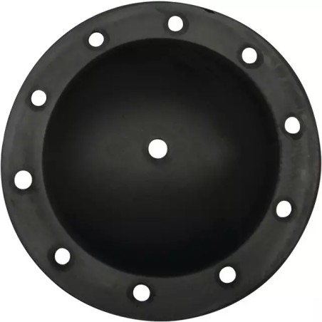 DISQUE ANTI-HUILE EUROP 451405 10 TROUS - ref. BED451405 | TP Agri