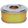 FILTRE A AIR GX110 ORIGINE HONDA - ref. HO17210ZE0505 | TP Agri