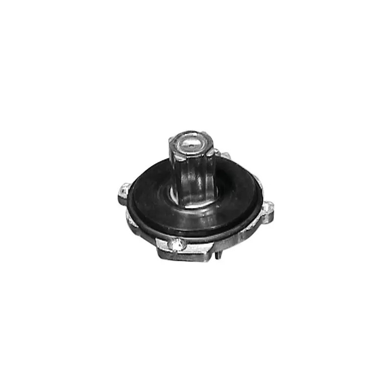 CLOCHE DE LANCEUR POUR BRIGGS & STRATTON - ref. 20731030 | TP Agri