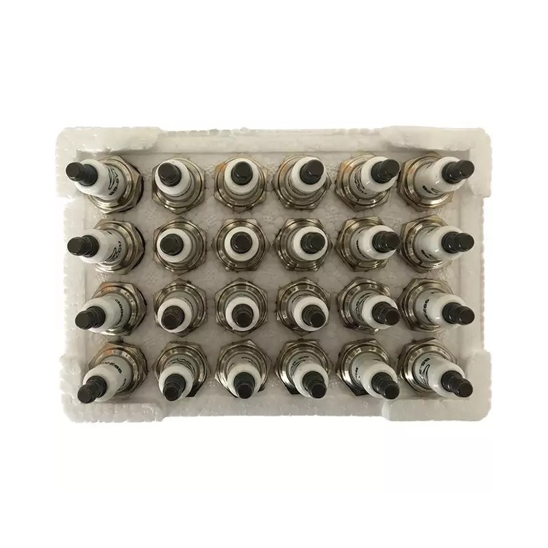 PACK ATELIER 24 BOUGIES BS-SV BRIGGS & STRA - ref. BS992301C | TP Agri