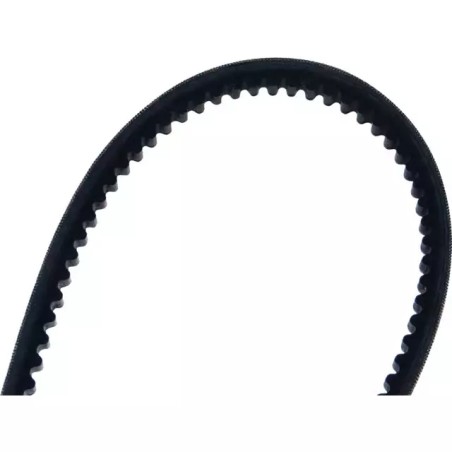 COURROIE CRANTEE DEBROUSSAILLEUSE XTREM1 - ref. PU0306030055 | TP Agri
