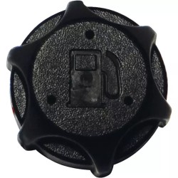 BOUCHON ESSENCE ORIGINE BRIGGS & STRATTON - ref. BS497929S | TP Agri