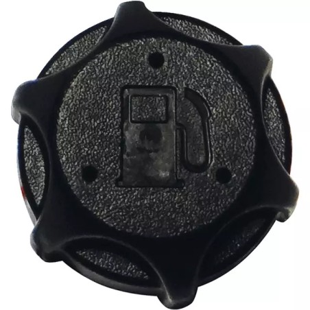 BOUCHON ESSENCE ORIGINE BRIGGS & STRATTON - ref. BS497929S | TP Agri