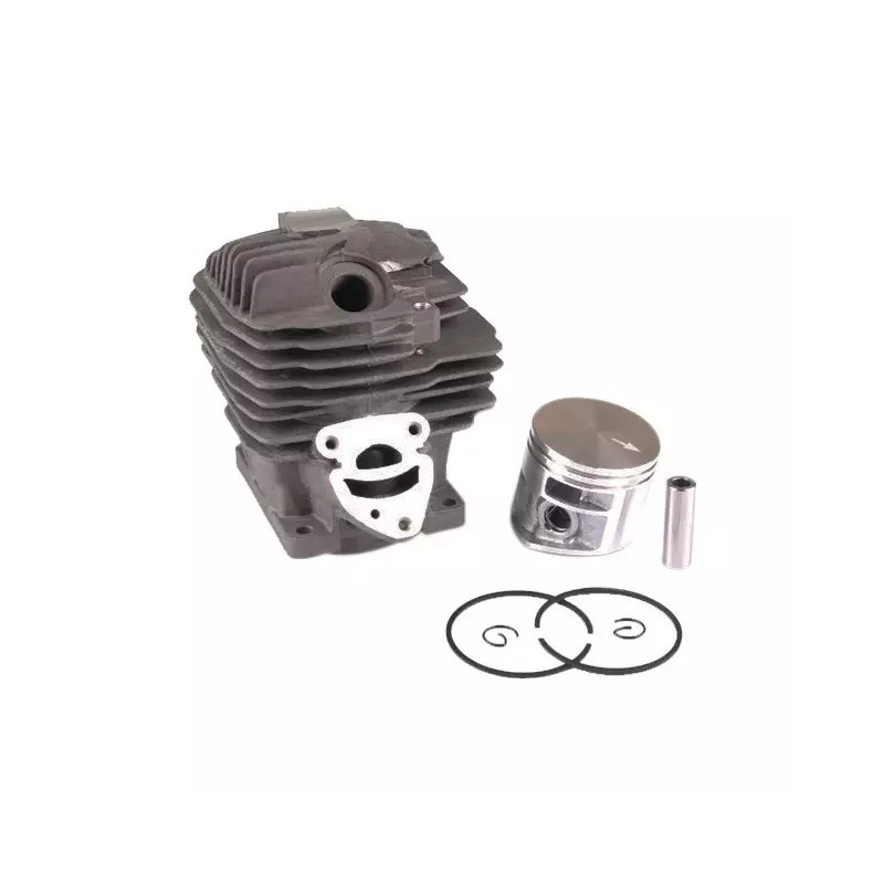 CYLINDREE POUR STIHL MS261 - ref. 21406664 | TP Agri