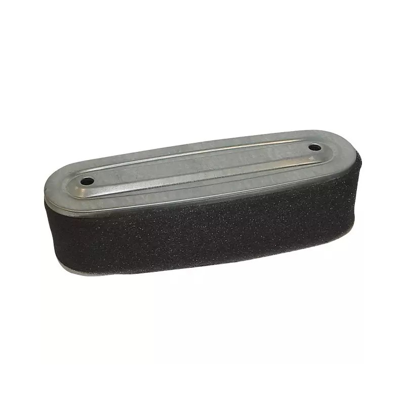 FILTRE A AIR POUR HONDA GV340 (17211891004) - ref. 20715014 | TP Agri