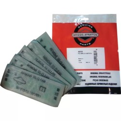 PACK ATELIER 5 x FILTRE AIR 697015 ORIGINE B&S - ref. BS4215 | TP Agri
