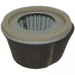 FILTRE A AIR POUR ROBIN EY20 (2273261007) - ref. 20750005 | TP Agri