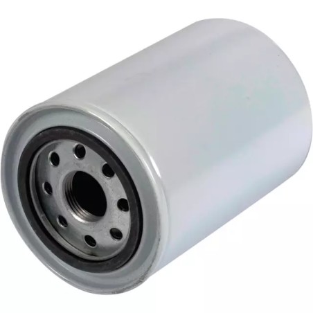 FILTRE POUR DEPUROIL 10 MIC - ref. 233183 | TP Agri