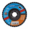 DISQUE A LAMELLES BOMBE 125 MM GRAIN 80 EXPERT - ref. 244232 | TP Agri