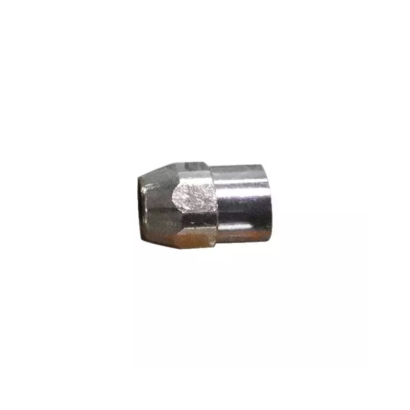 ELECTRODE HAFNIUM TORCHE PLASMA sachet de 5 - ref. 1933304 | TP Agri