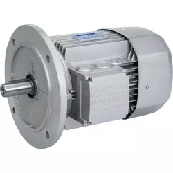 MOTEUR ELECTRIQUE TRIPHASE BX100LA4 230/400 - ref. 40515047 | TP Agri