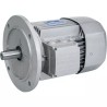 MOTEUR ELECTRIQUE TRIPHASE BX100LA4 230/400 - ref. 40515047 | TP Agri