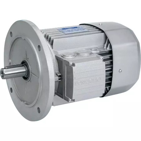 MOTEUR ELECTRIQUE TRIPHASE BX90LA4 230/400 V - ref. 40515044 | TP Agri