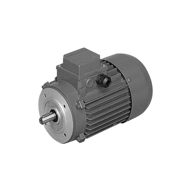 MOTEUR ELECTRIQUE TRIPHASE BX80B4 230/400 V - ref. 40515020 | TP Agri
