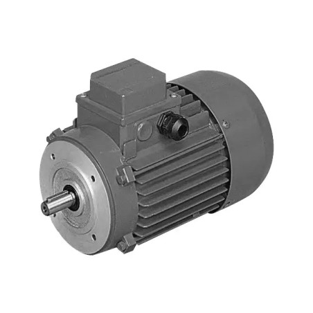 MOTEUR ELECTRIQUE TRIPHASE BX80B4 230/400 V - ref. 40515020 | TP Agri