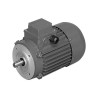 MOTEUR ELECTRIQUE TRIPHASE BX80B4 230/400 V - ref. 40515020 | TP Agri