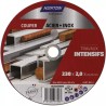 DISQUE A TRONCONNER METAL INOX PLAT 230X2X22, - ref. 1925854 | TP Agri
