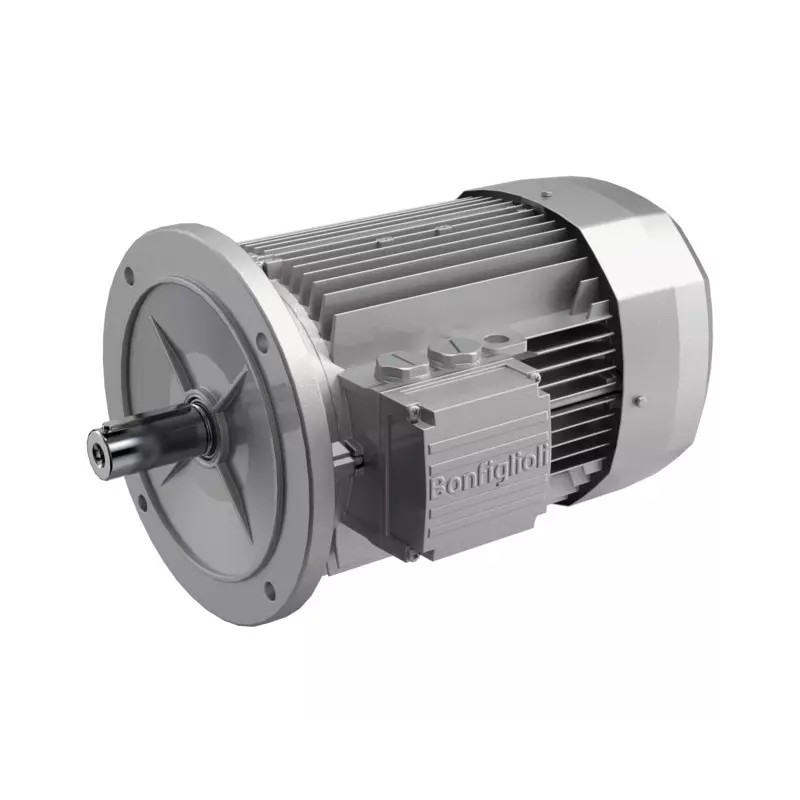MOTEUR ELECTRIQUE TRIPHASE BN71B6 230/400 V - ref. 40515142 | TP Agri