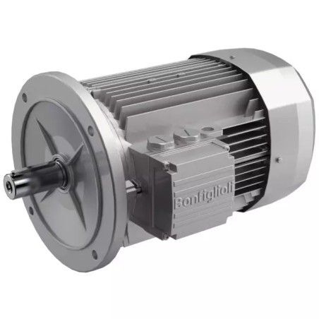 MOTEUR ELECTRIQUE TRIPHASE BN71B6 230/400 V - ref. 40515142 | TP Agri