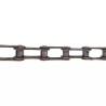 CHAINE SIMPLE A 2060 LINKBELT LE METRE - ref. 30899260 | TP Agri