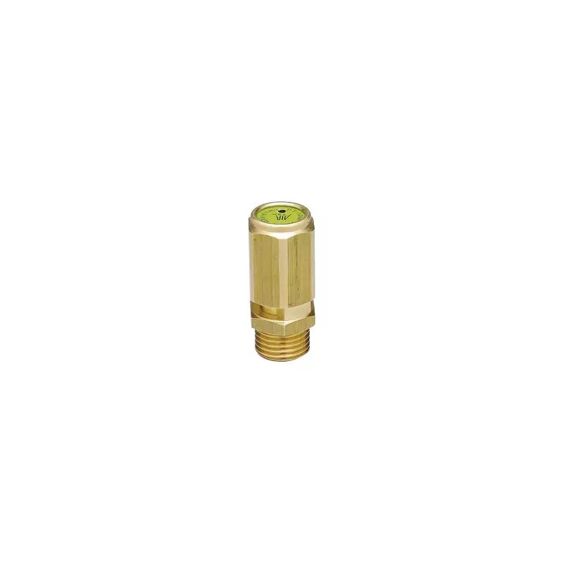SOUPAPE DE SECURITE 1/4" MALE TAREE 9 BAR BLI - ref. 1940822 | TP Agri