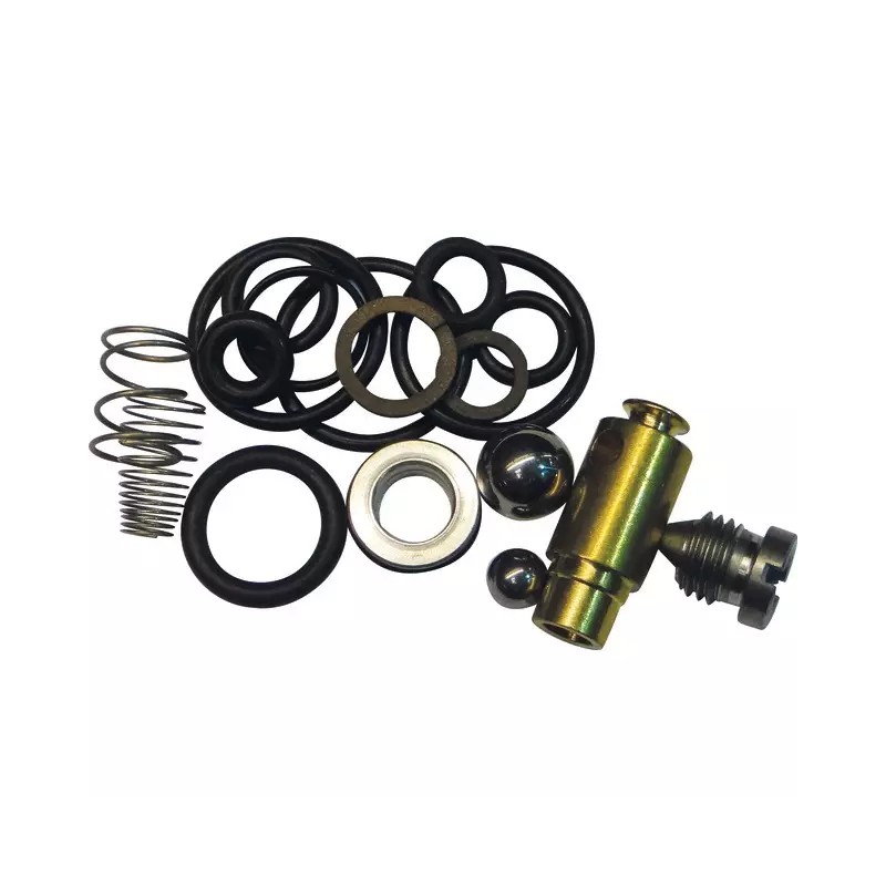 KIT REPARATION BY PASS - ref. 32008318 | TP Agri