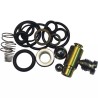 KIT REPARATION BY PASS - ref. 32008318 | TP Agri
