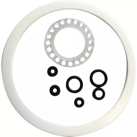 KIT JOINT POUR PISTOLET PEINTURE A GRAVITE 20 - ref. 1940787 | TP Agri