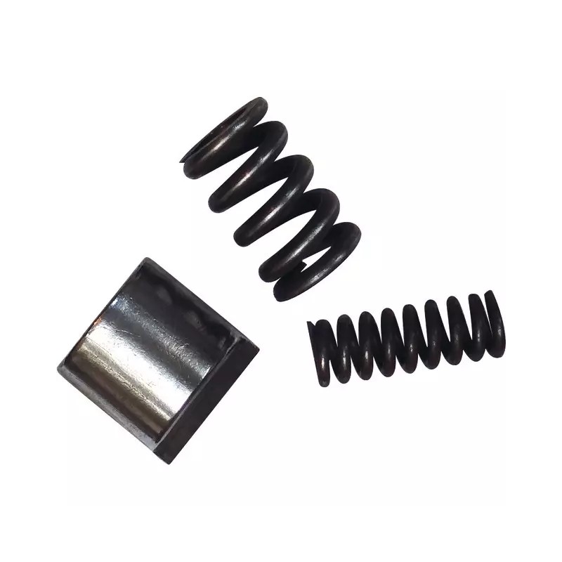 CAME AVEC RESSORTS LIMITEUR SC Ø 21 MM - ref. BYP421555001 | TP Agri