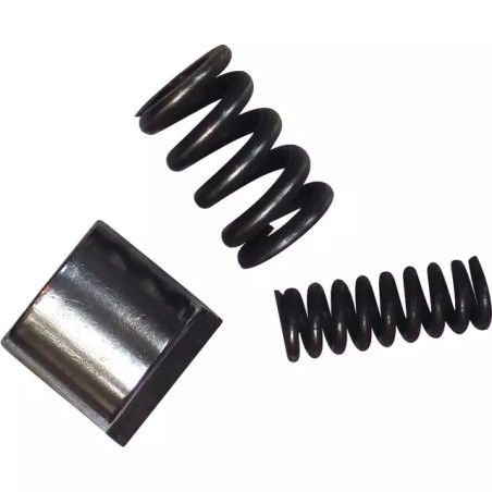 CAME AVEC RESSORTS LIMITEUR SC Ø 21 MM - ref. BYP421555001 | TP Agri