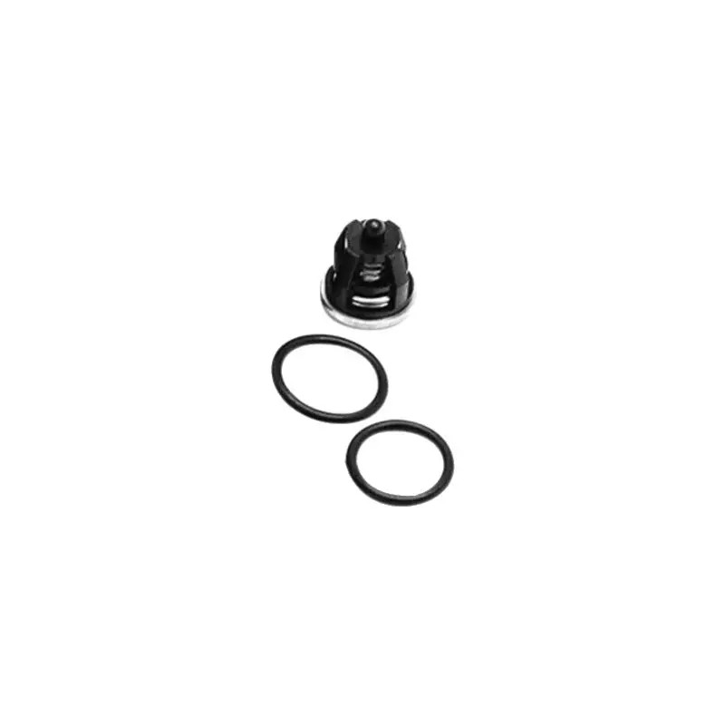 KIT 6 CLAPETS K500 K750 FDX12140 KCS560T FDS - ref. 32008338 | TP Agri